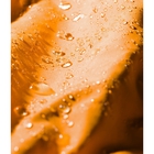 Men&rsquo;s &rsquo;92 Retro Rush Rain Jacket image number null