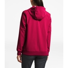 Womens Tekno Pullover Hoodie image number null