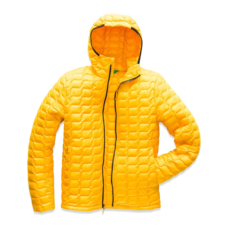 Men's Pill Eco Hoodie image number null