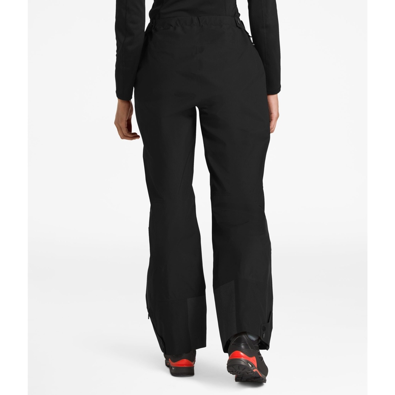 Women's Rainier L5 Gtx Pro Pants image number null