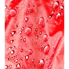 Men's Rainier L5 Ultralight Storm Jacket image number null