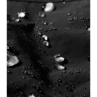 Men&rsquo;s &rsquo;92 Retro Rush Rain Jacket image number null