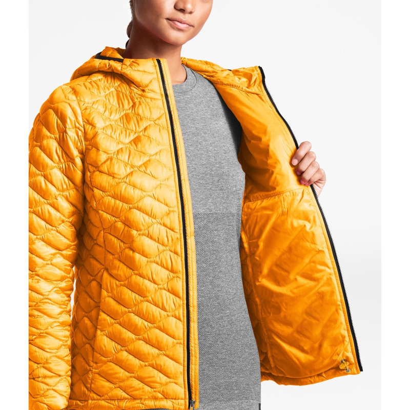 Women's Pill Eco Hoodie image number null