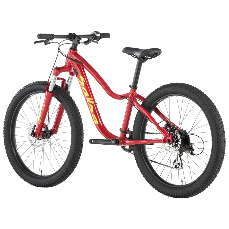Salsa Timberjack 24 SUS Plus Kids' Bike - 2019 image number null