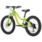 Salsa Timberjack 20 SUS PLus Kids' Bike - 2019 image number null