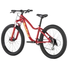 Salsa Timberjack 24 SUS Plus Kids' Bike - 2019 image number null