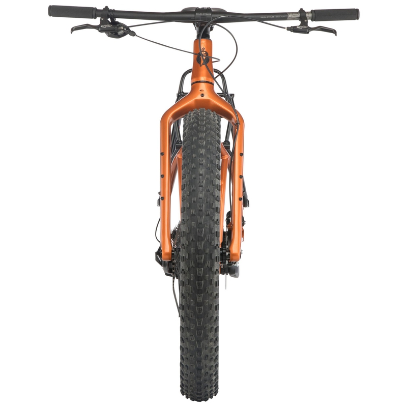 Salsa Blackborow Fat Bike image number null