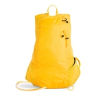 Rapidus 20 image number null