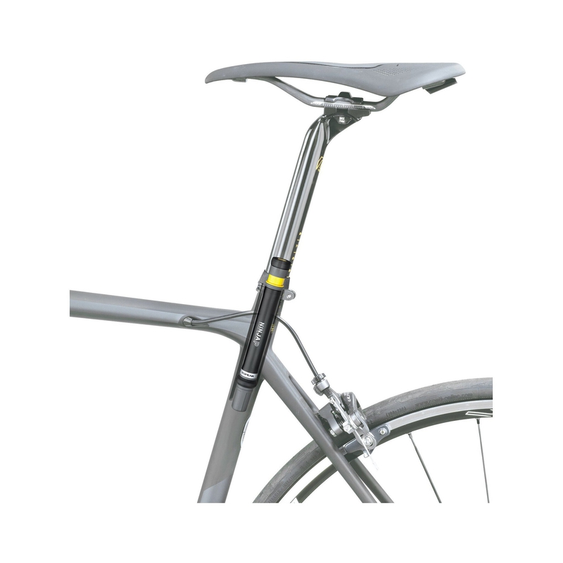 Topeak Ninja Seatpost Pump image number null