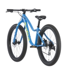 Salsa Timberjack 24" Plus Kids' Bike image number null