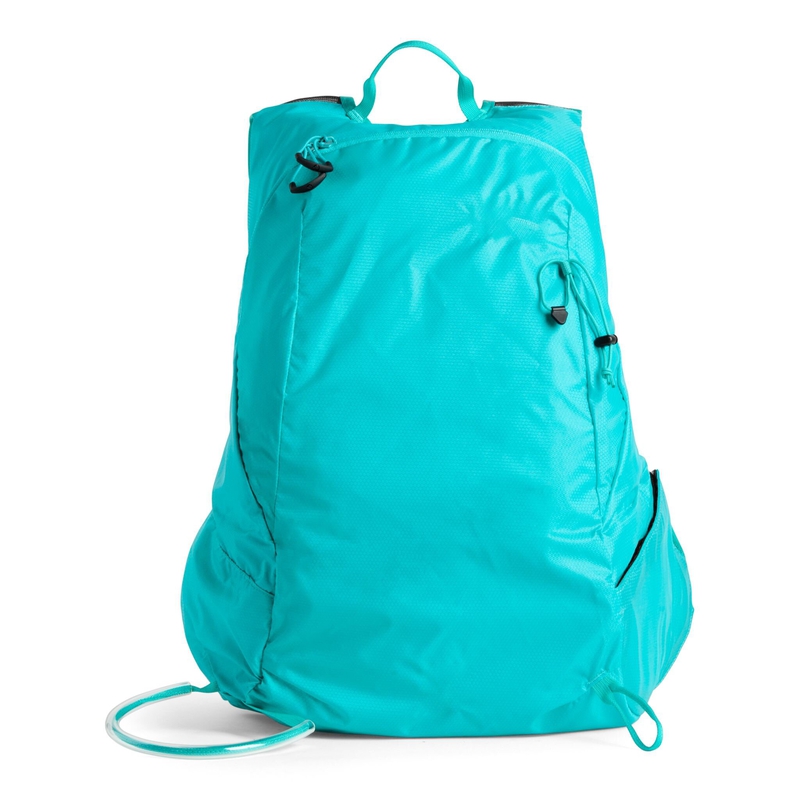 Rapidus 30 image number null