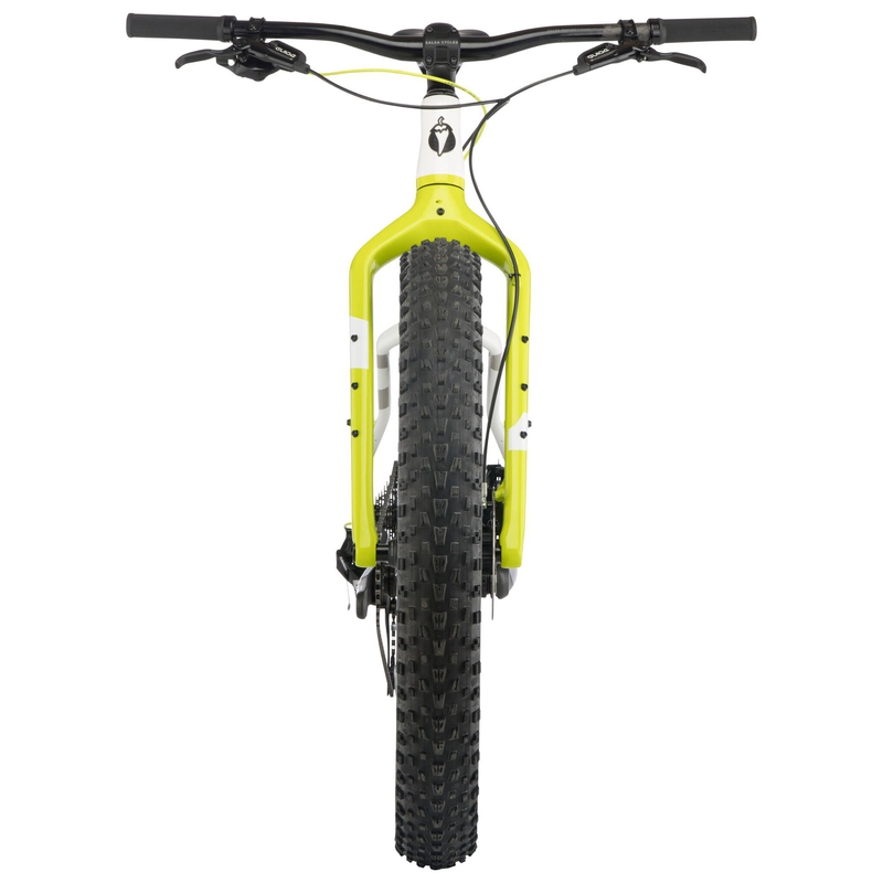 Salsa Beargrease Carbon GX Eagle Fat Bike image number null