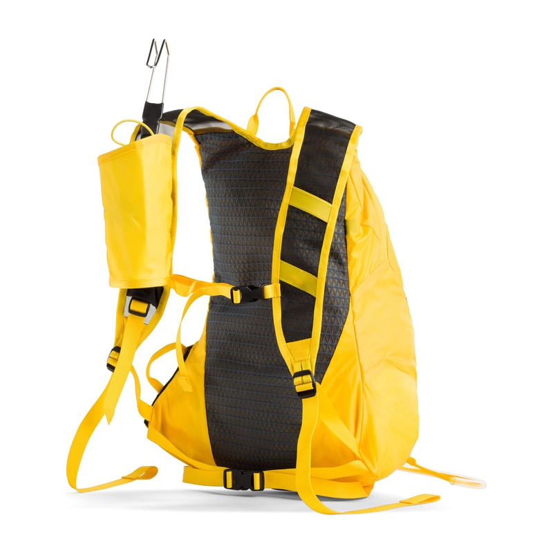 Rapidus 20 image number null