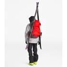 Proprius 50 image number null