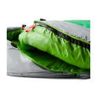 Snow Leopard image number null