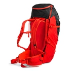 Cobra 60 image number null