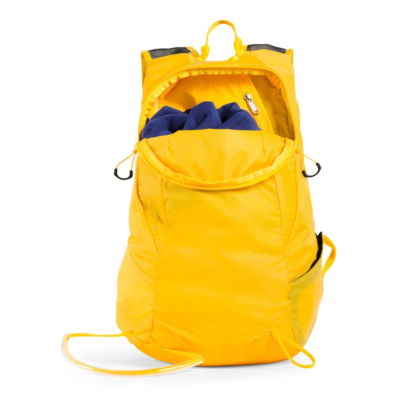 Rapidus 20 image number null