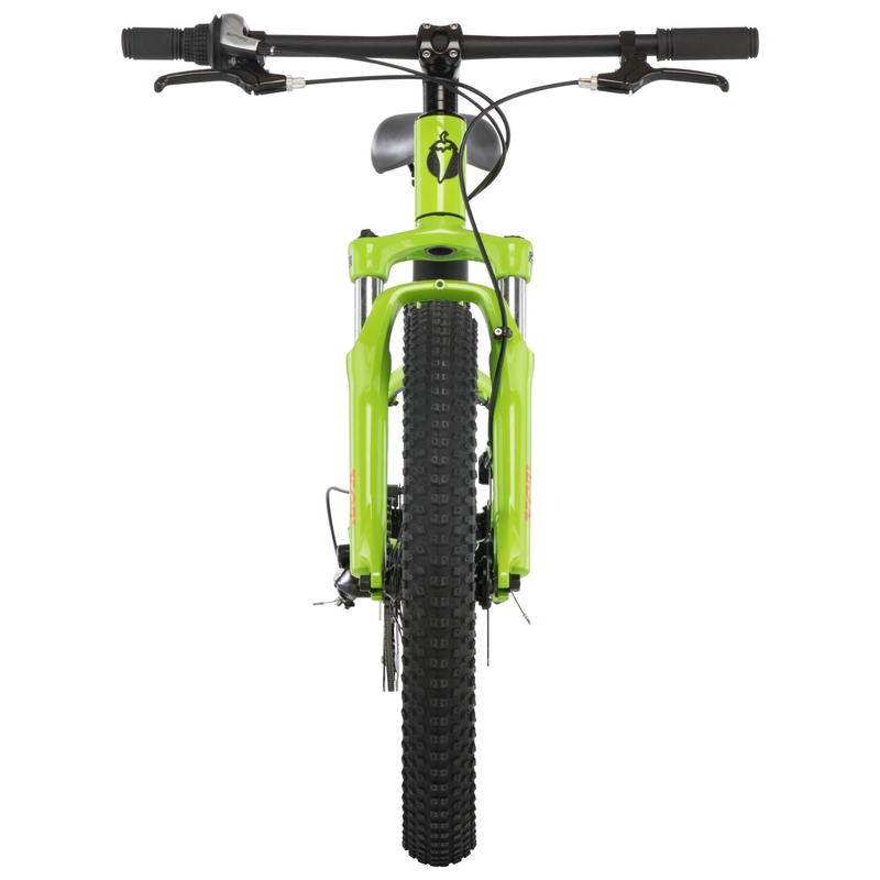 Salsa Timberjack 20 SUS PLus Kids' Bike - 2019 image number null