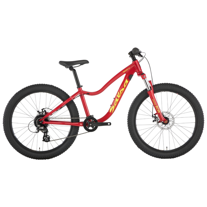 Salsa Timberjack 24 SUS Plus Kids' Bike - 2019