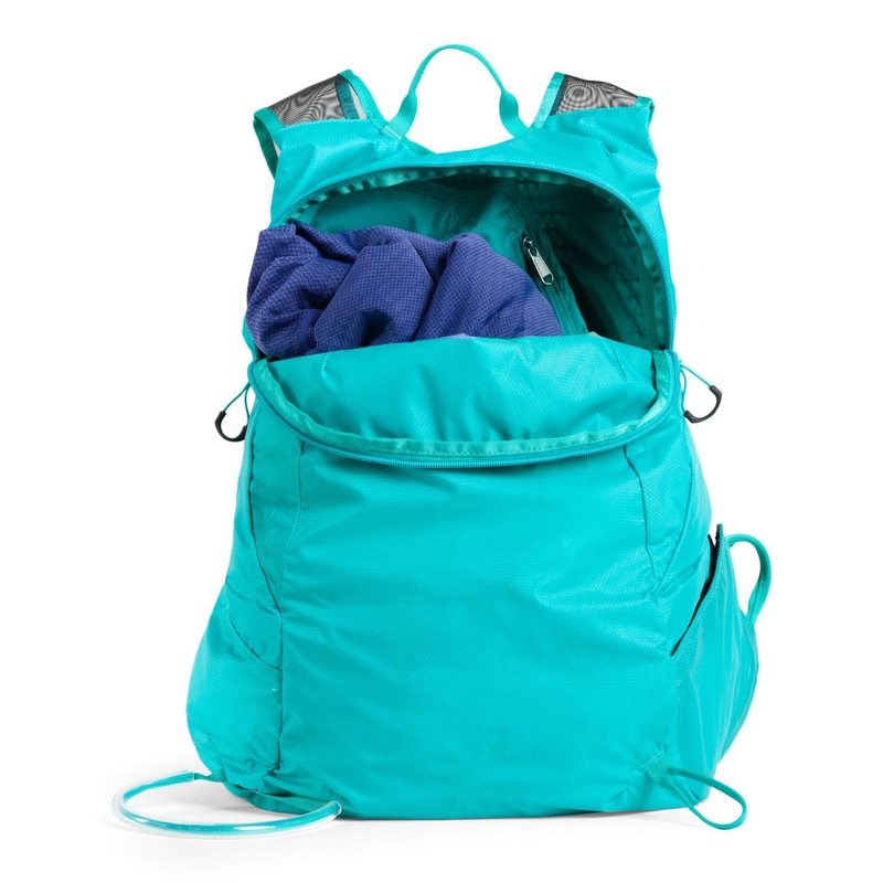 Rapidus 30 image number null