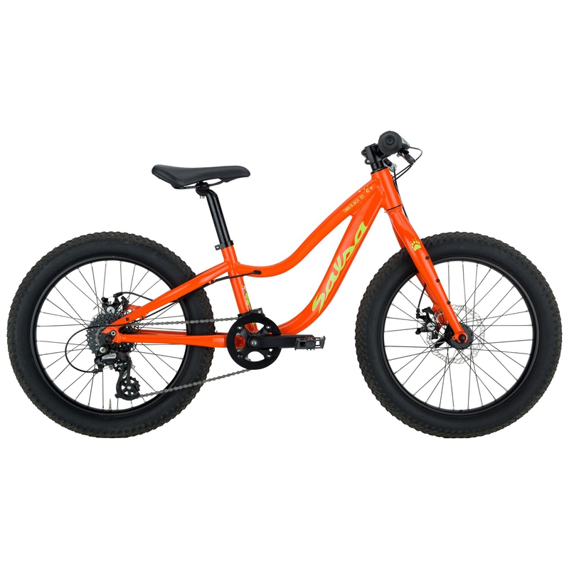 Salsa Timberjack 20" Plus Kids' Bike