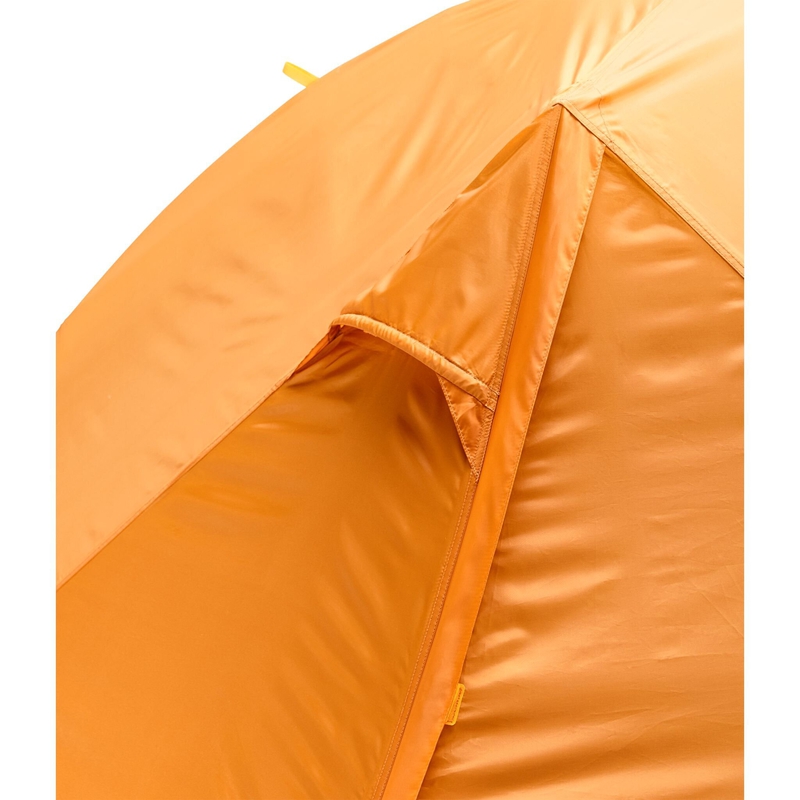 Talus 4 image number null