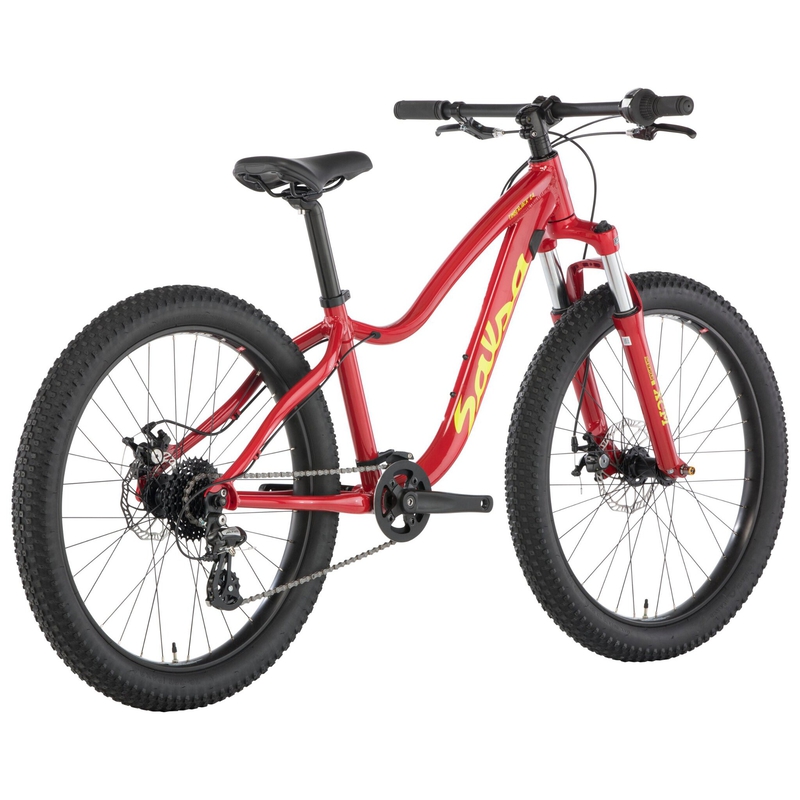 Salsa Timberjack 24 SUS Plus Kids' Bike - 2019 image number null