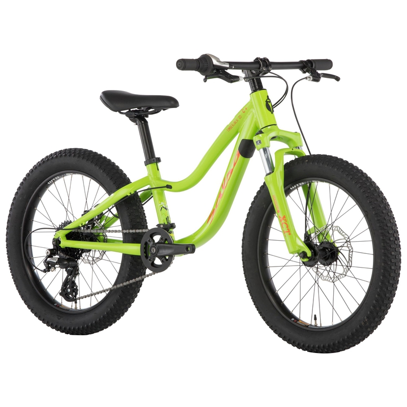 Salsa Timberjack 20 SUS PLus Kids' Bike - 2019 image number null