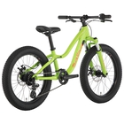 Salsa Timberjack 20 SUS PLus Kids' Bike - 2019 image number null